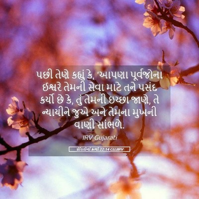 Picture 05 - પ્રેરિતોનાં ક્રત્યો 22:14 GUJIRV - પછી તેણે કહ્યું કે, - Bible Verse Picture