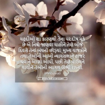 Picture 05 - પ્રેરિતોનાં ક્રત્યો 22:30 GUJIRV - યહૂદીઓ શા કારણથી - Bible Verse Picture