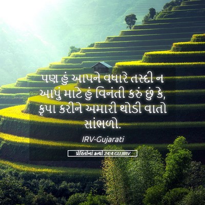 Picture 05 - પ્રેરિતોનાં ક્રત્યો 24:4 GUJIRV - પણ હું આપને વધારે - Bible Verse Picture