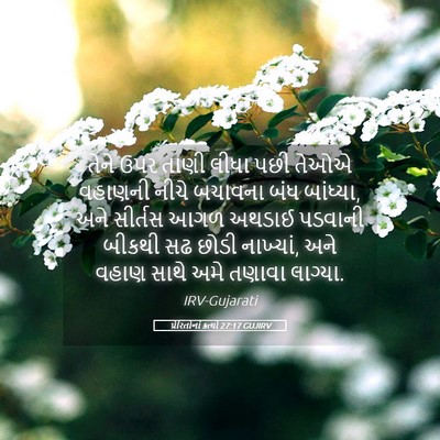 Picture 05 - પ્રેરિતોનાં ક્રત્યો 27:17 GUJIRV - તેને ઉપર તાણી લીધા - Bible Verse Picture