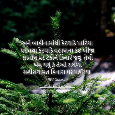 Picture 05 - પ્રેરિતોનાં ક્રત્યો 27:44 GUJIRV - અને બાકીનામાંથી - Bible Verse Picture