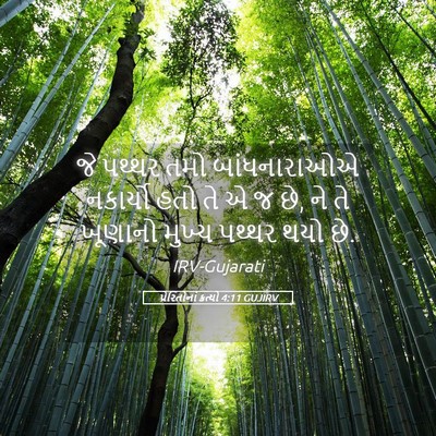 Picture 05 - પ્રેરિતોનાં ક્રત્યો 4:11 GUJIRV - જે પથ્થર તમો - Bible Verse Picture