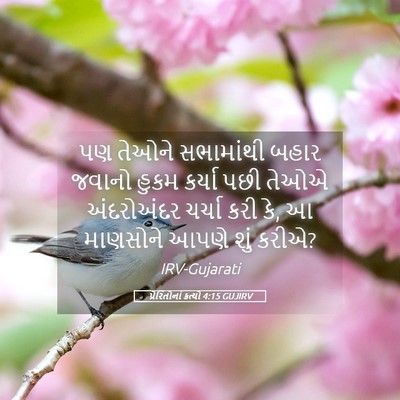 Picture 05 - પ્રેરિતોનાં ક્રત્યો 4:15 GUJIRV - પણ તેઓને સભામાંથી - Bible Verse Picture