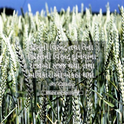 Picture 05 - પ્રેરિતોનાં ક્રત્યો 4:26 GUJIRV - પ્રભુની વિરુદ્ધ - Bible Verse Picture