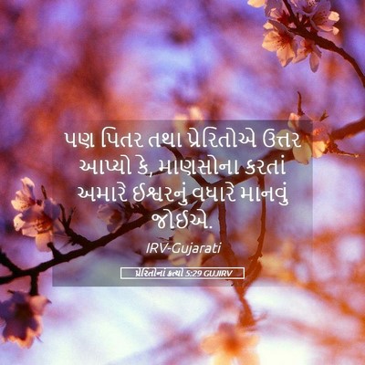 Picture 05 - પ્રેરિતોનાં ક્રત્યો 5:29 GUJIRV - પણ પિતર તથા - Bible Verse Picture