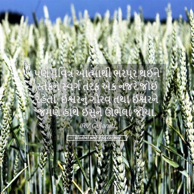 Picture 05 - પ્રેરિતોનાં ક્રત્યો 7:55 GUJIRV - પણ પવિત્ર આત્માથી - Bible Verse Picture