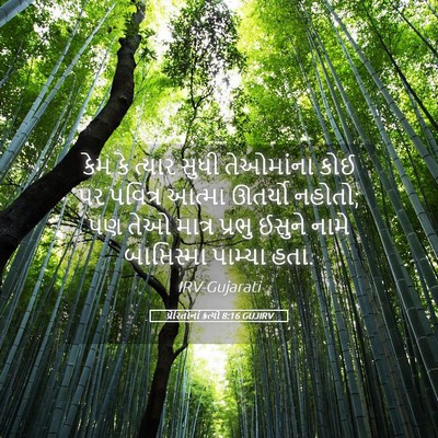 Picture 05 - પ્રેરિતોનાં ક્રત્યો 8:16 GUJIRV - કેમ કે ત્યાર સુધી - Bible Verse Picture