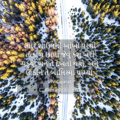 Picture 05 - પ્રેરિતોનાં ક્રત્યો 9:18 GUJIRV - ત્યારે શાઉલની - Bible Verse Picture