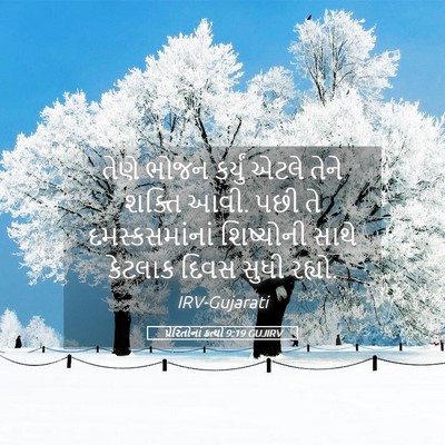 Picture 05 - પ્રેરિતોનાં ક્રત્યો 9:19 GUJIRV - તેણે ભોજન કર્યું - Bible Verse Picture