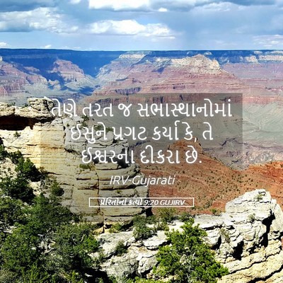 Picture 05 - પ્રેરિતોનાં ક્રત્યો 9:20 GUJIRV - તેણે તરત જ - Bible Verse Picture