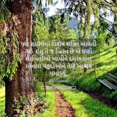 Picture 05 - પ્રેરિતોનાં ક્રત્યો 9:22 GUJIRV - પણ શાઉલમાં વિશેષ - Bible Verse Picture