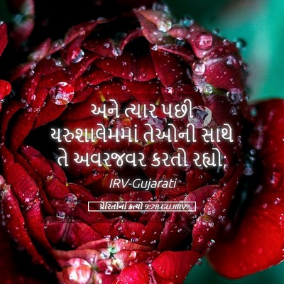 Picture 05 - પ્રેરિતોનાં ક્રત્યો 9:28 GUJIRV - અને ત્યાર પછી - Bible Verse Picture