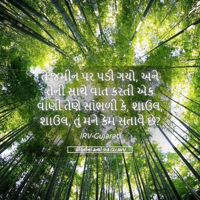Picture 05 - પ્રેરિતોનાં ક્રત્યો 9:4 GUJIRV - તે જમીન પર પડી ગયો, - Bible Verse Picture