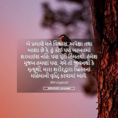Picture 05 - ફિલિપ્પીઓને 1:20 GUJIRV - એ પ્રમાણે મને - Bible Verse Picture