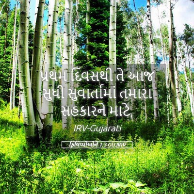 Picture 05 - ફિલિપ્પીઓને 1:3 GUJIRV - પ્રથમ દિવસથી તે આજ - Bible Verse Picture
