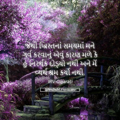 Picture 05 - ફિલિપ્પીઓને 2:16 GUJIRV - જેથી ખ્રિસ્તનાં - Bible Verse Picture