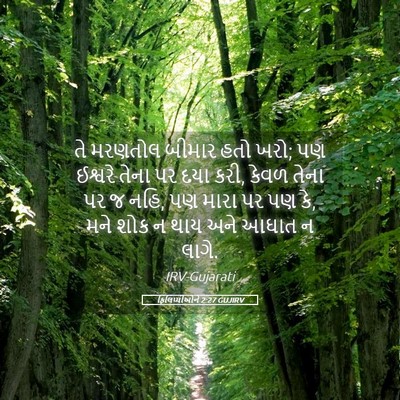 Picture 05 - ફિલિપ્પીઓને 2:27 GUJIRV - તે મરણતોલ બીમાર - Bible Verse Picture