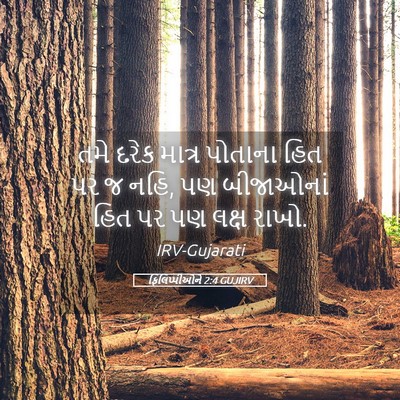 Picture 05 - ફિલિપ્પીઓને 2:4 GUJIRV - તમે દરેક માત્ર - Bible Verse Picture