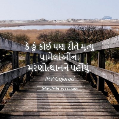 Picture 05 - ફિલિપ્પીઓને 3:11 GUJIRV - કે હું કોઈ પણ રીતે - Bible Verse Picture