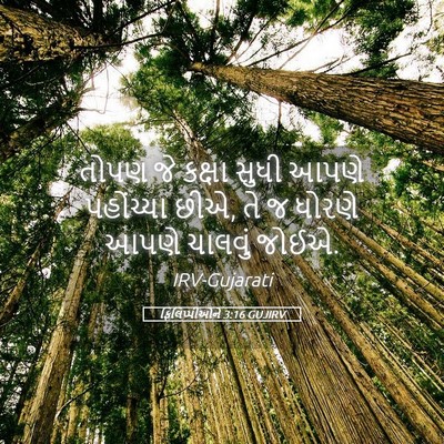 Picture 05 - ફિલિપ્પીઓને 3:16 GUJIRV - તોપણ જે કક્ષા સુધી - Bible Verse Picture