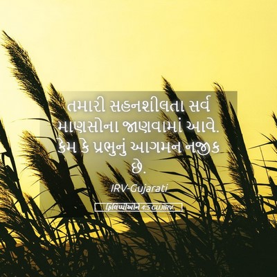 Picture 05 - ફિલિપ્પીઓને 4:5 GUJIRV - તમારી સહનશીલતા - Bible Verse Picture