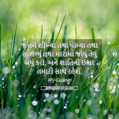 Picture 05 - ફિલિપ્પીઓને 4:9 GUJIRV - જે તમે શીખ્યા તથા - Bible Verse Picture