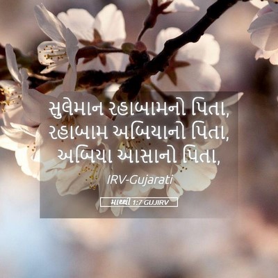 Picture 05 - માથ્થી 1:7 GUJIRV - સુલેમાન રહાબામનો - Bible Verse Picture