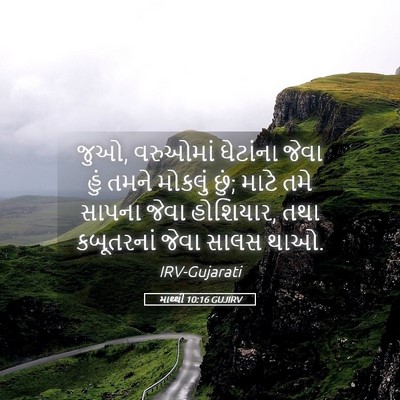 Picture 05 - માથ્થી 10:16 GUJIRV - જુઓ, વરુઓમાં - Bible Verse Picture