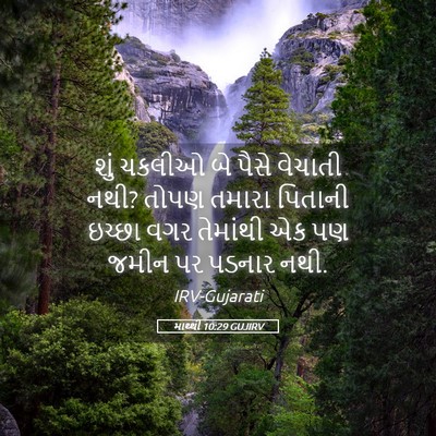 Picture 05 - માથ્થી 10:29 GUJIRV - શું ચકલીઓ બે પૈસે - Bible Verse Picture