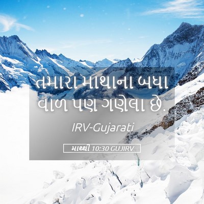 Picture 05 - માથ્થી 10:30 GUJIRV - તમારા માથાના બધા - Bible Verse Picture