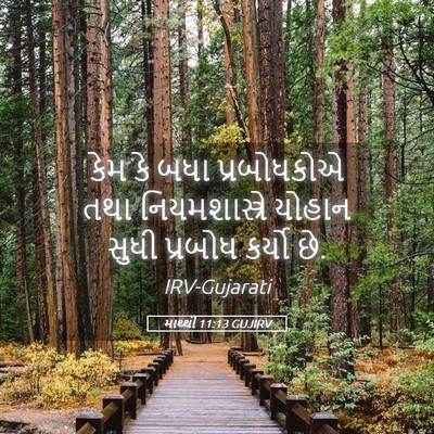 Picture 05 - માથ્થી 11:13 GUJIRV - કેમ કે બધા - Bible Verse Picture