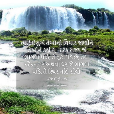 Picture 05 - માથ્થી 12:25 GUJIRV - ત્યારે ઈસુએ તેઓનો - Bible Verse Picture