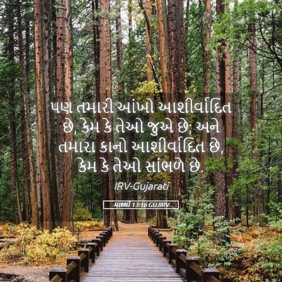 Picture 05 - માથ્થી 13:16 GUJIRV - પણ તમારી આંખો - Bible Verse Picture