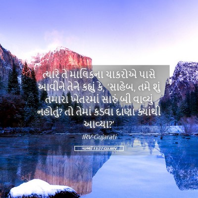 Picture 05 - માથ્થી 13:27 GUJIRV - ત્યારે તે માલિકના - Bible Verse Picture