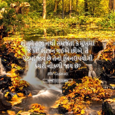 Picture 05 - માથ્થી 15:17 GUJIRV - શું તમે હજી નથી - Bible Verse Picture