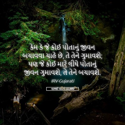 Picture 05 - માથ્થી 16:25 GUJIRV - કેમ કે જે કોઈ - Bible Verse Picture