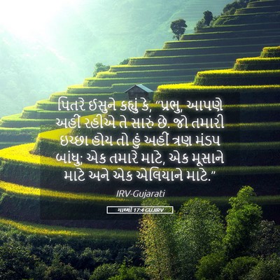 Picture 05 - માથ્થી 17:4 GUJIRV - પિતરે ઈસુને - Bible Verse Picture