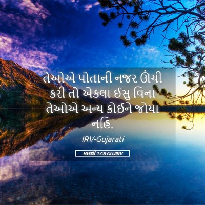 Picture 05 - માથ્થી 17:8 GUJIRV - તેઓએ પોતાની નજર - Bible Verse Picture