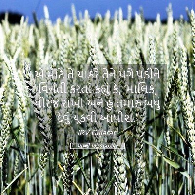 Picture 05 - માથ્થી 18:26 GUJIRV - એ માટે તે ચાકરે - Bible Verse Picture