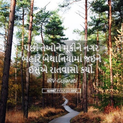 Picture 05 - માથ્થી 21:17 GUJIRV - પછી તેઓને મૂકીને - Bible Verse Picture