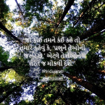 Picture 05 - માથ્થી 21:3 GUJIRV - જો કોઈ તમને કંઈ કહે - Bible Verse Picture