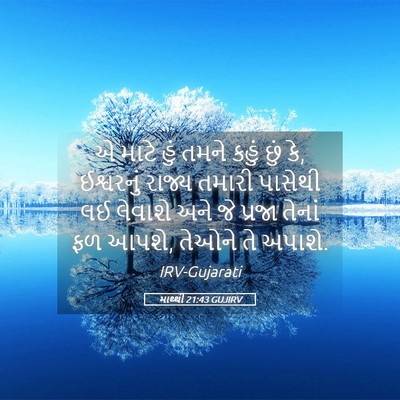 Picture 05 - માથ્થી 21:43 GUJIRV - એ માટે હું તમને - Bible Verse Picture