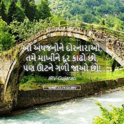 Picture 05 - માથ્થી 23:24 GUJIRV - ઓ અંધજનોને - Bible Verse Picture