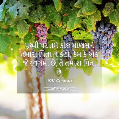 Picture 05 - માથ્થી 23:9 GUJIRV - પૃથ્વી પર તમે કોઈ - Bible Verse Picture