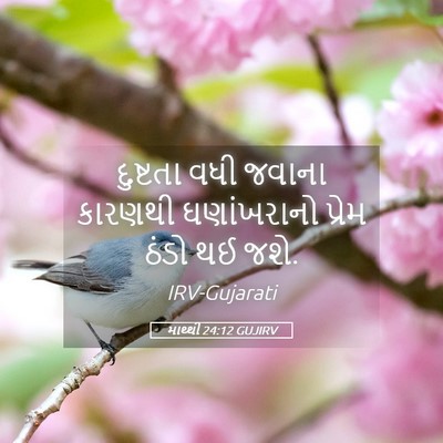 Picture 05 - માથ્થી 24:12 GUJIRV - દુષ્ટતા વધી જવાના - Bible Verse Picture