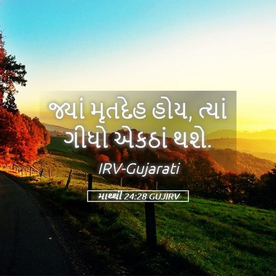 Picture 05 - માથ્થી 24:28 GUJIRV - જ્યાં મૃતદેહ હોય, - Bible Verse Picture