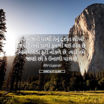 Picture 05 - માથ્થી 24:32 GUJIRV - હવે અંજીરી પરથી - Bible Verse Picture