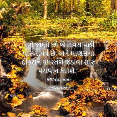 Picture 05 - માથ્થી 26:2 GUJIRV - “તમે જાણો છો બે - Bible Verse Picture