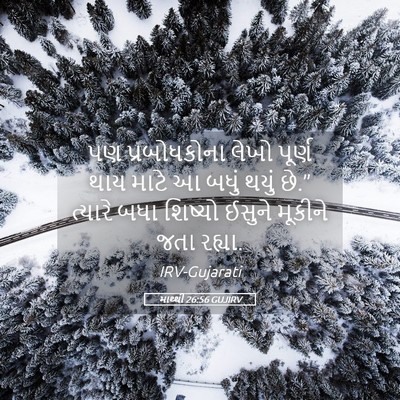Picture 05 - માથ્થી 26:56 GUJIRV - પણ પ્રબોધકોના - Bible Verse Picture