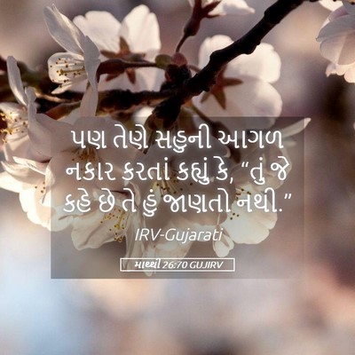 Picture 05 - માથ્થી 26:70 GUJIRV - પણ તેણે સહુની આગળ - Bible Verse Picture